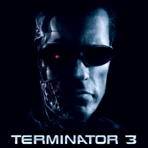 terminator3.jpg